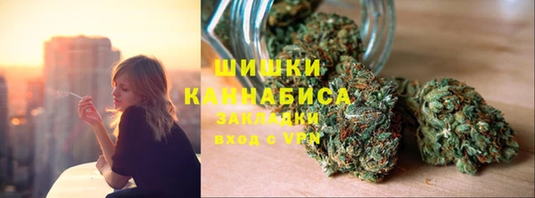 ГАЛЛЮЦИНОГЕННЫЕ ГРИБЫ Беломорск