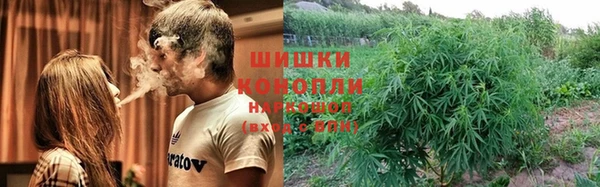 ГАЛЛЮЦИНОГЕННЫЕ ГРИБЫ Беломорск