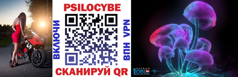Галлюциногенные грибы Psilocybe  Купить закладки  Луховицы 